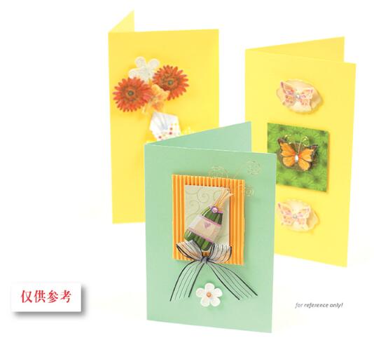 Eno Greeting complete scrapbooking diy card kit for beginner kids craft diy card making kit 6 cards and 6 envelopes: SKC06