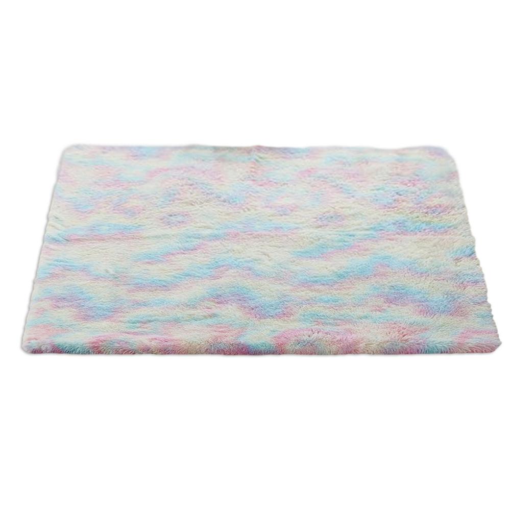 Regenboog Kleuren Tapijten Voor Woonkamer Tapijt Slaapkamer Decor Tapijt Floor Karpetten Voor Thuis Fluffy Thicken Mat Lange Zachte fluwelen Mat: 120X200cm