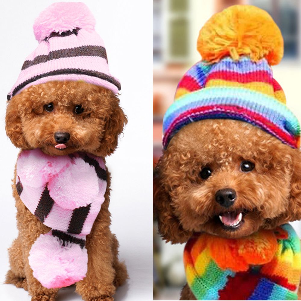 3 Stks/set Leuke Sets Pet Hond Kat Hoed Sjaal Sokken Pak Puppy Kitty Gebreide Streep Kostuum Kleding Outdoor Winter Warm huisdier Producten