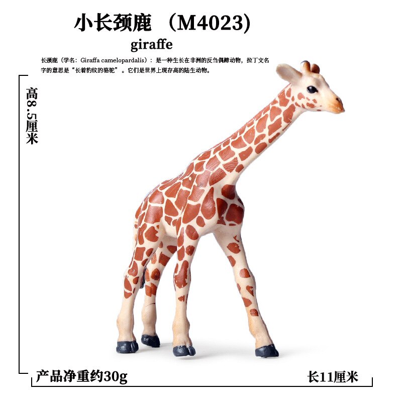 Mini Simulatie Wilde Dieren Abs Model Actiefiguren Paard Herten Kangoeroe Zebra Koe Cub Collection Educatief Speelgoed Voor Kinderen