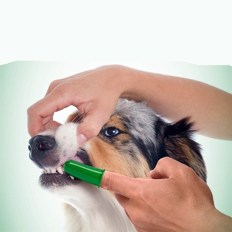 Dog Cat Toothbrush Finger Toy 6pcs Set Dental Hygiene Brushes Food Safety Soft Silicone Pet Finger Toothbrush Puppy DogToys