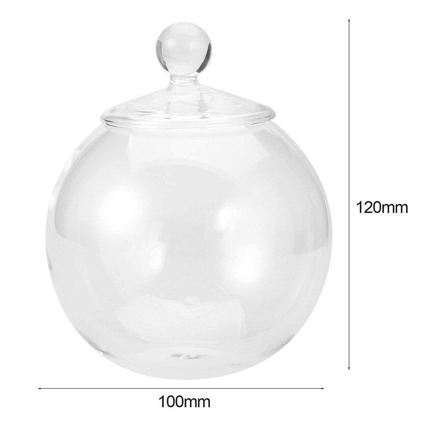 1 Set Diameter 10 Cm Transparent Micro Meaty Bryophytes Landscape Glass Vase Bottle With Cover Home Wedding Decor Craft