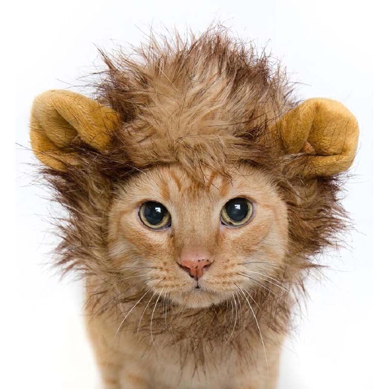 Sød kæledyr kat hund emulering løve hår manke ører hoved kasket efterår vinter kjole op kostume lydpotte tørklæde paryk blive en løve kat: Multi