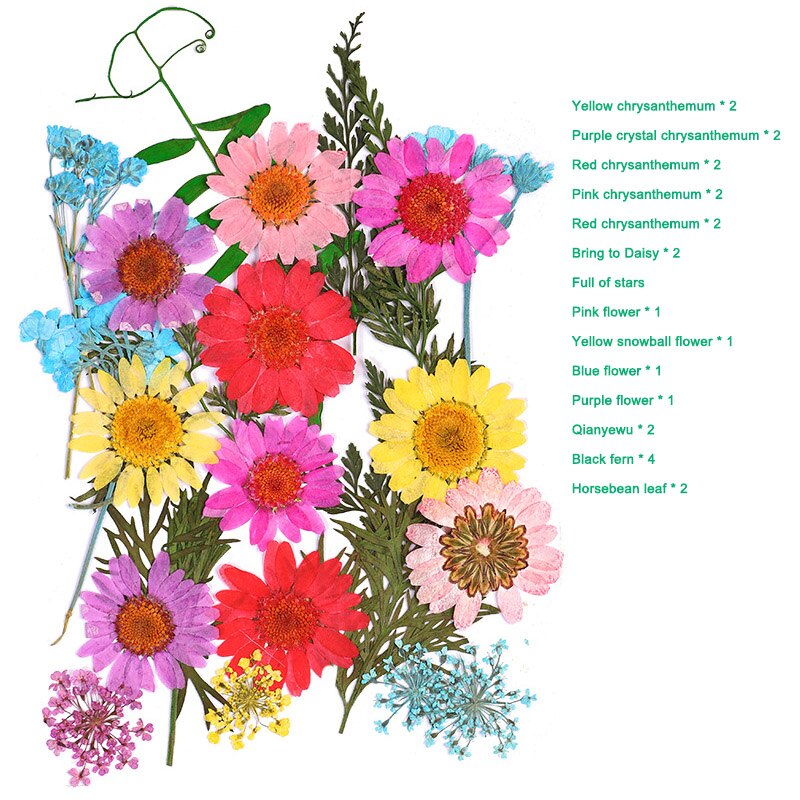 Pressed Flower Mixed Dried Flowers DIY Art Floral Decors Collection Craft DIY B99: a-3