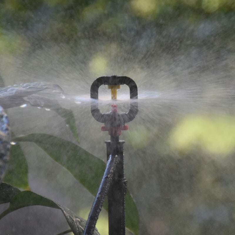 Aazon.co : Esschert Design Clear Plant Ister