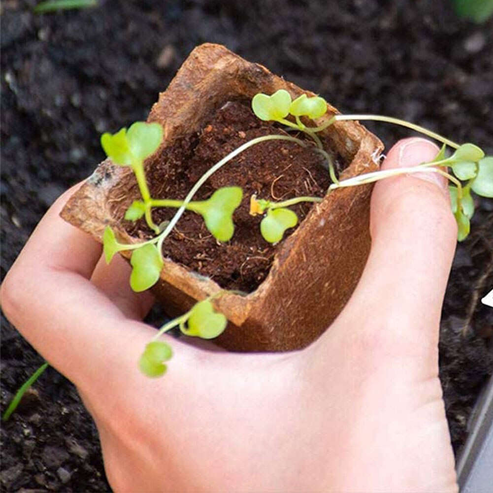 6PCS Mini Greenhouse Propagation Modiform Plug Plant Seed Tray with 12 Holes for Greenhouse Indoor Outdoor Green