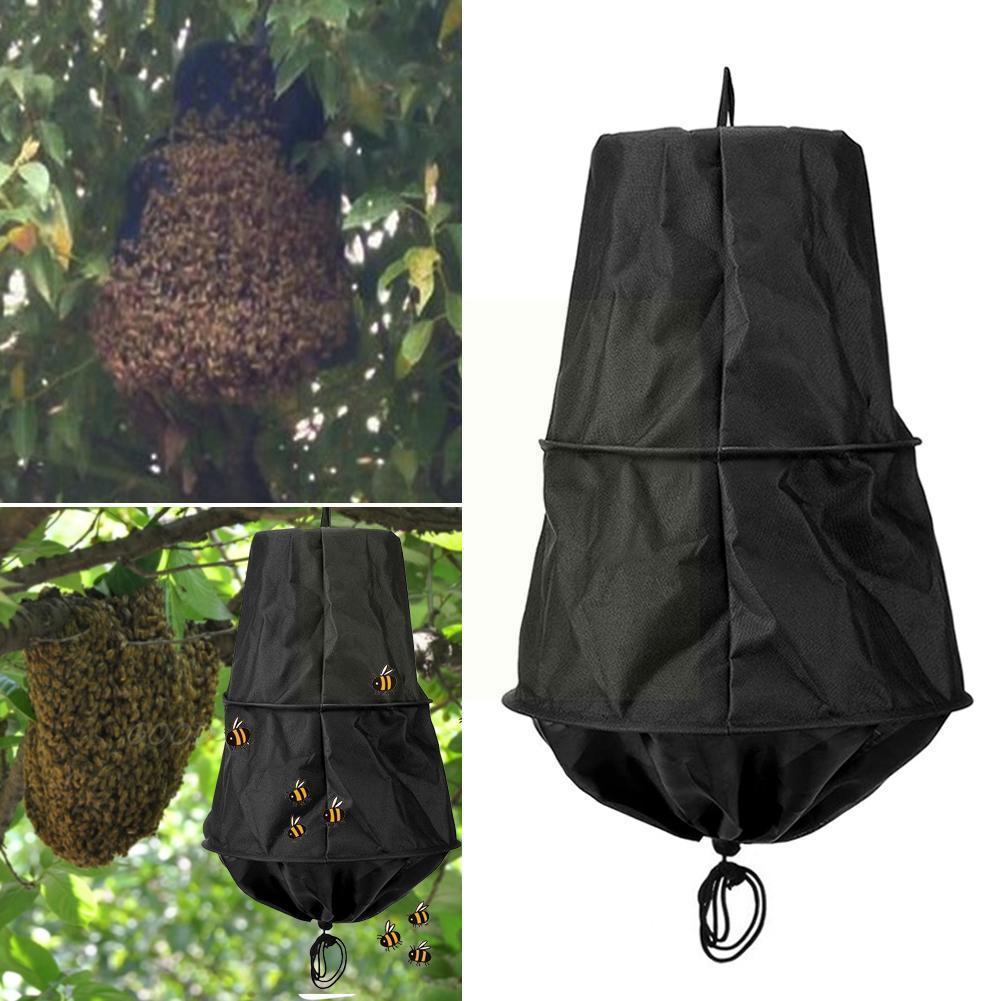 Attract Bees In The Wild Black Bee Cage Trap Bee Colony Bee Trap Supplies Beekeeper Trap Tool Beekeeping Bee S4D4