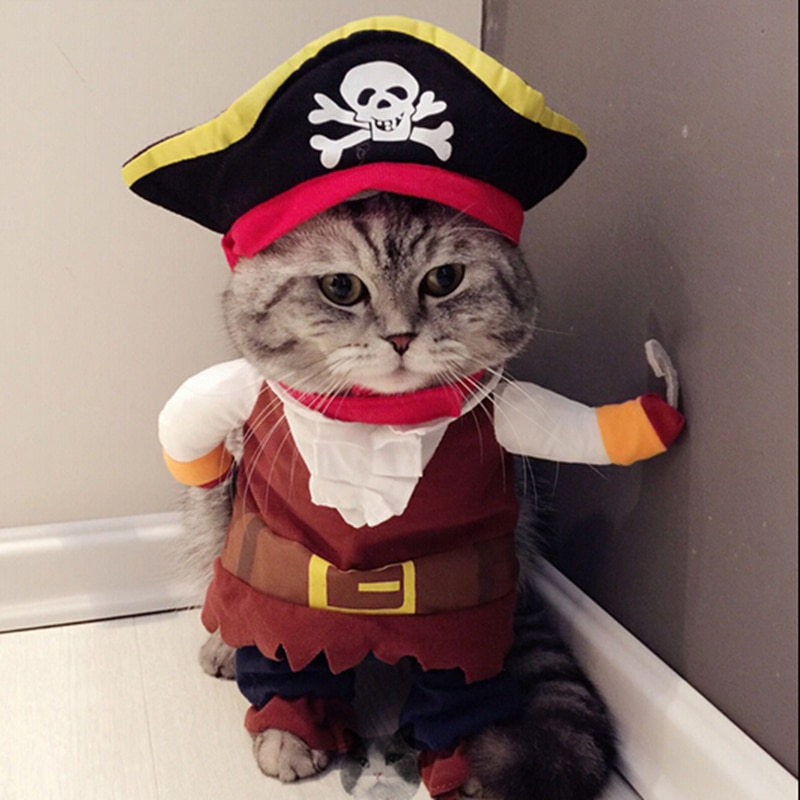 Grappige Kat Kleding Voor Kat Kostuum Kleding Dressing Up Kat Kostuum Pak