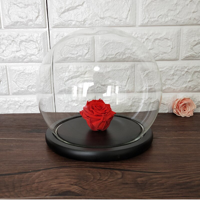 Black Base Diameter=10cm Round Glass Dome VaseHome Decoration Glass Dome Friend Wedding Decoration