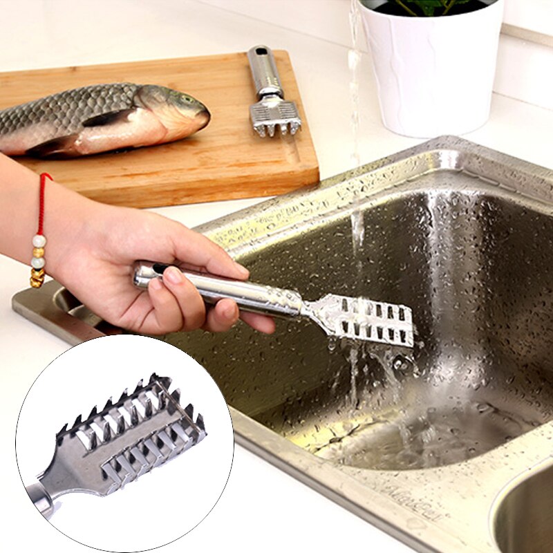 Ustensiles de cuisine ménagers | Outil de cuisine en acier inoxydable, racloir balance manuel de cuisine, brosse à gratter, outils pour enlever les fruits de mer, accessoires