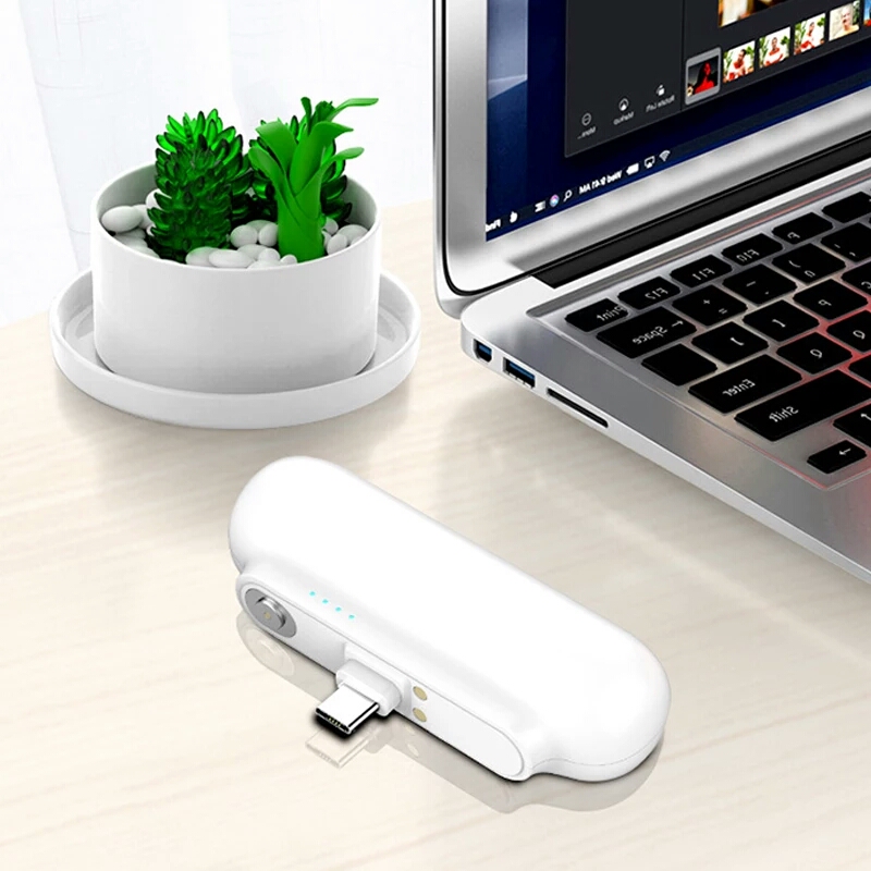 Draagbare Mini Power Bank Charger Charging Station Type-C En Micro Usb Opladen Hoofd Voor Iphone Xs/Xs max/Xr Google Pixel 3 Xl