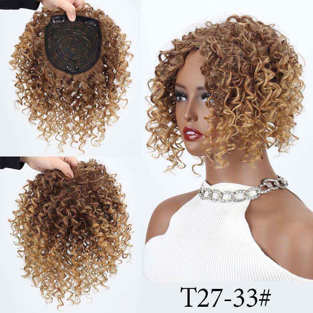 Synthetic Short Afro Kinky Curly Hair Toppers Hair Pieces Wigs for Black Women With Thinning Hair Topper Increase Hair Volume: 4/27HL