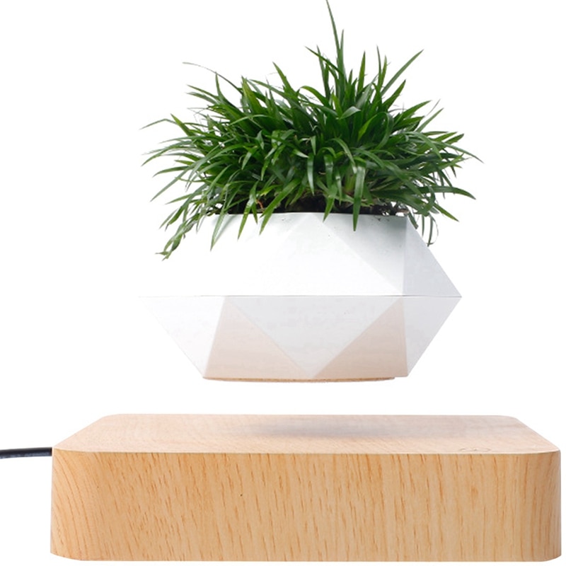 Lévitation magnétique plante planteur Pots succulents plante bureau ornements décor à la maison lévitation d'air bonsaï Pot nous Plug