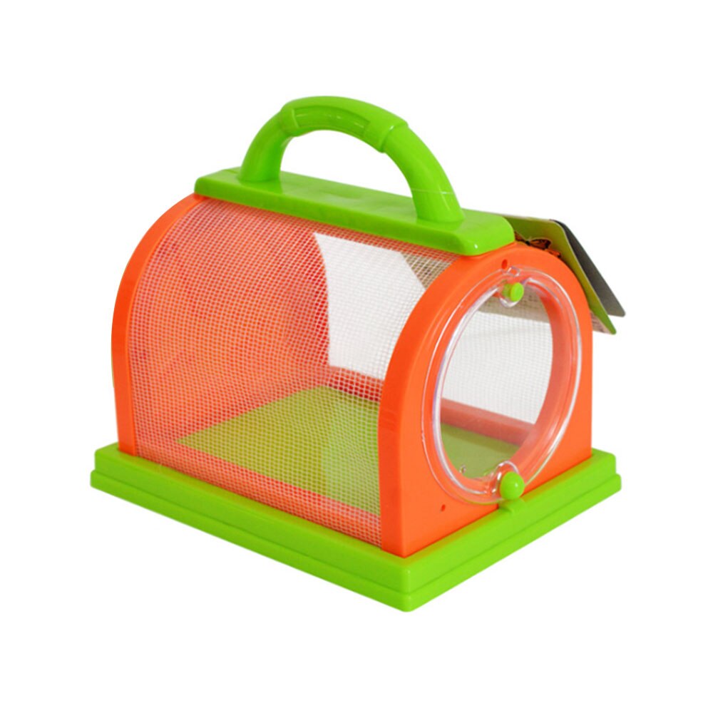 Cage à insectes pour animaux de compagnie, petit étui d'observation pour enfants, Cage d'expérimentation d'alimentation pour insectes, pour vers à soie: green