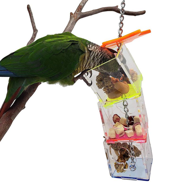 Parrot Bird Feeding Toy Boredom Buster Forage Box Hanging Treat Foraging Toys Acrylic Food Feeder Birds Supplies C42