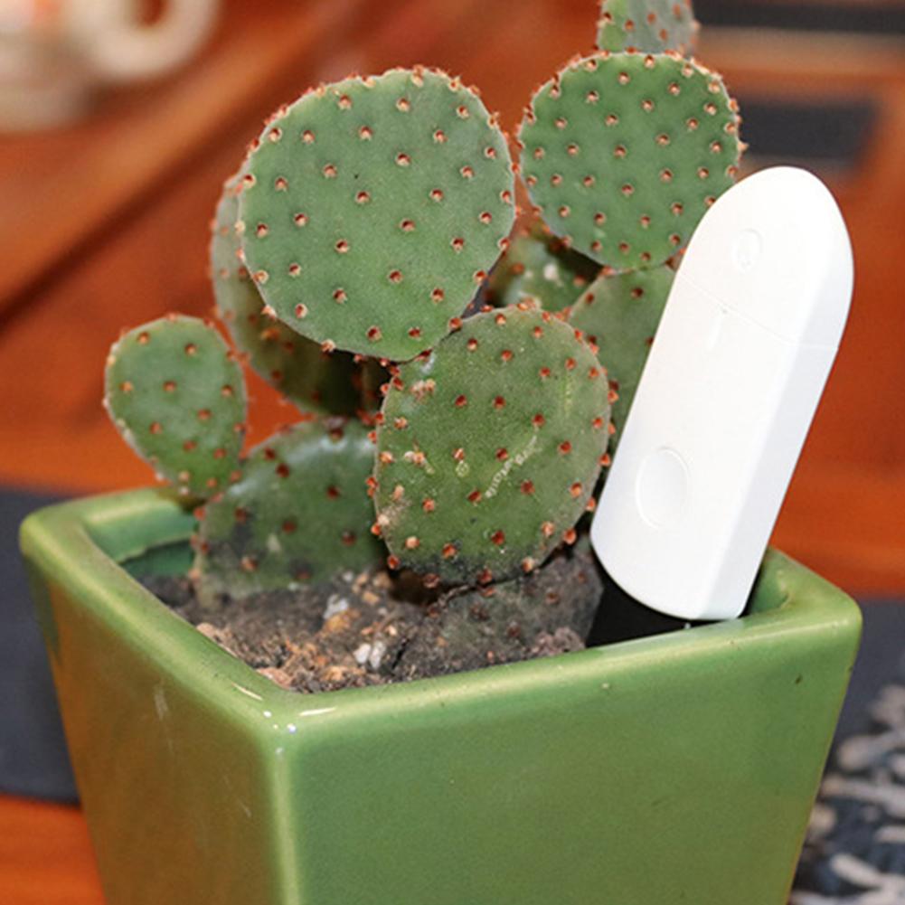 Boden Hygrometer Pflanze Blume Pflege Sensor Überwachung Boden Feuchtigkeit Sensor Monitor Wasserdichte Kompakt Anzeige Licht Garten Werkzeuge