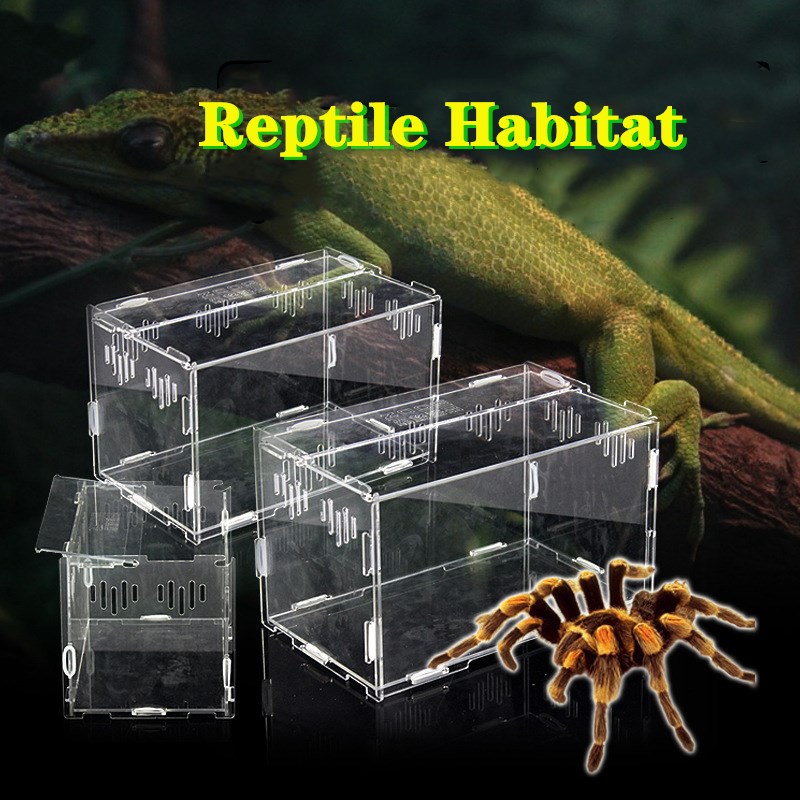 Boîte d&#39;élevage de reptiles en acrylique, réservoir amovible pour Terrarium Vivarium, lézard araignée, Micro espaces de reproduction des reptiles