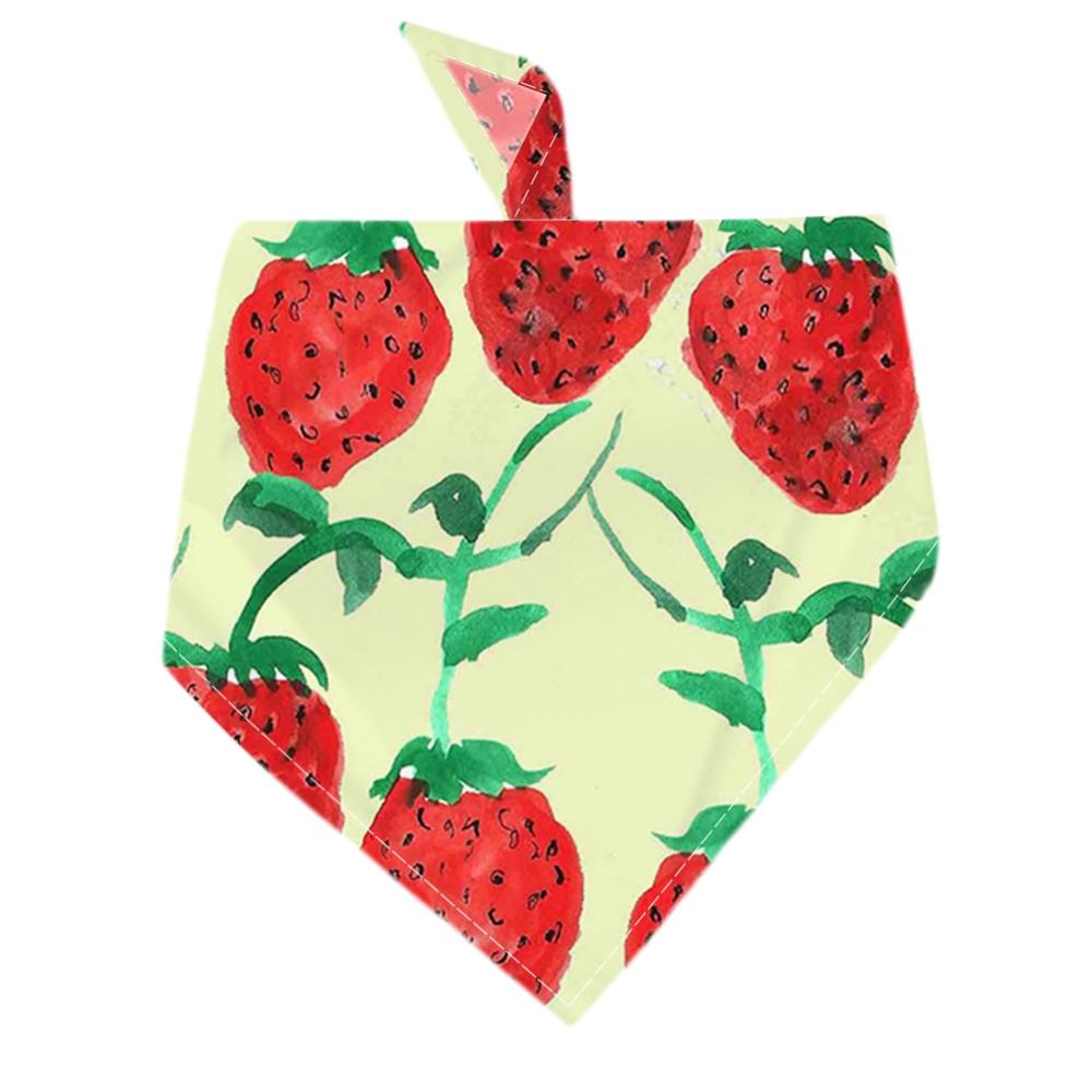 Zomer Pet Kat Hond Bandana Kraag Verstelbare Halsdoek Driehoek Sjaal Tropische Fruit Patroon Speeksel Handdoek Dierbenodigdheden