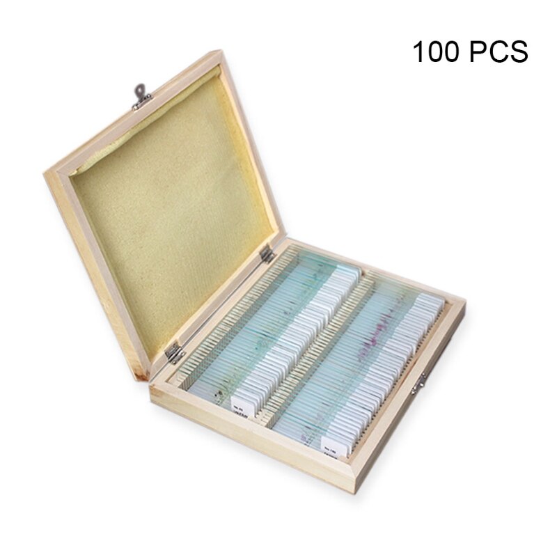 Prepared Microscope Slides Set for Kids Students Biological Science Education with Wooden Case