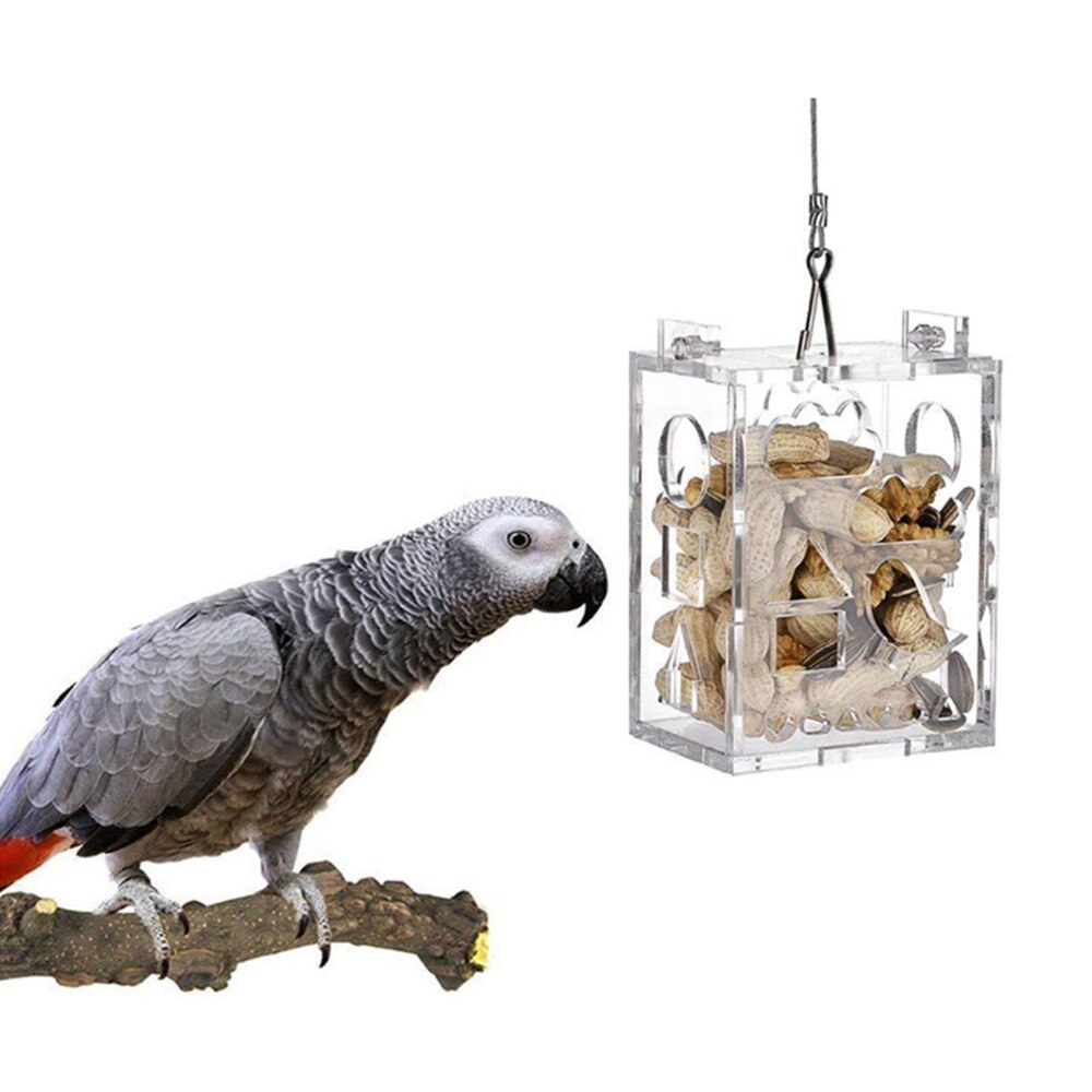 Acrylic Bird Parrot Hanging Foraging Feeder Feeding Box Bird Parrots Toys Food Feeder Hanging Foraging Chain For Treats