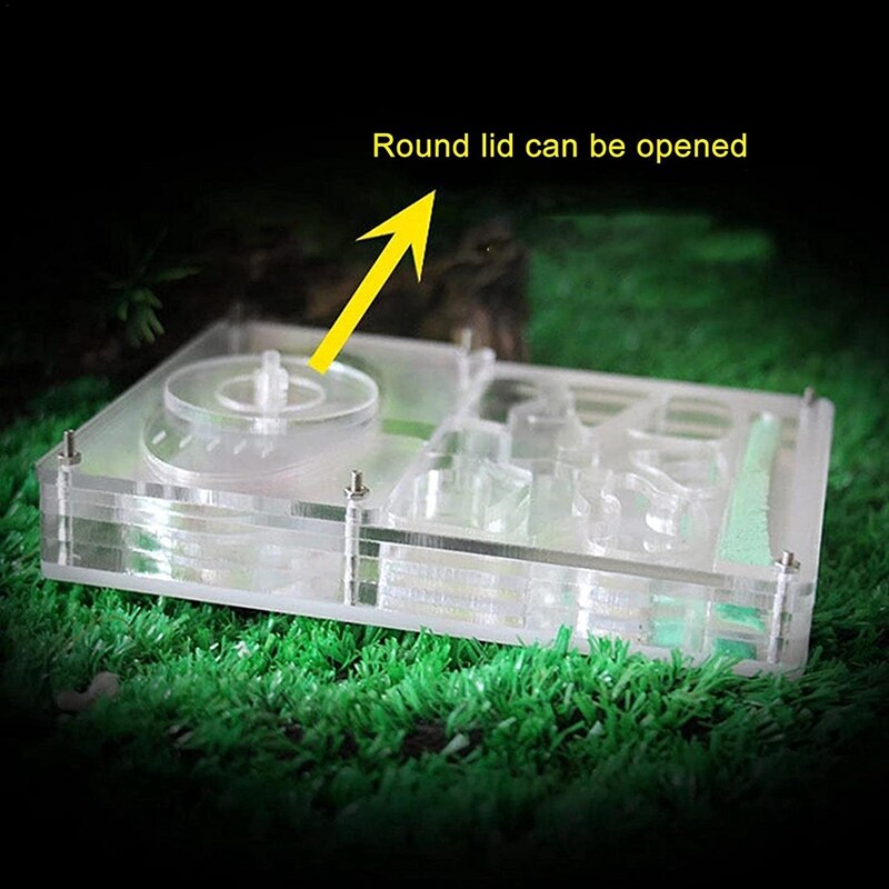 Acrylic Ant Breeding Box, Ant Farm, Insect Nest, Farm Feeding Box, Educational Formicarium, Ant Farm Kit