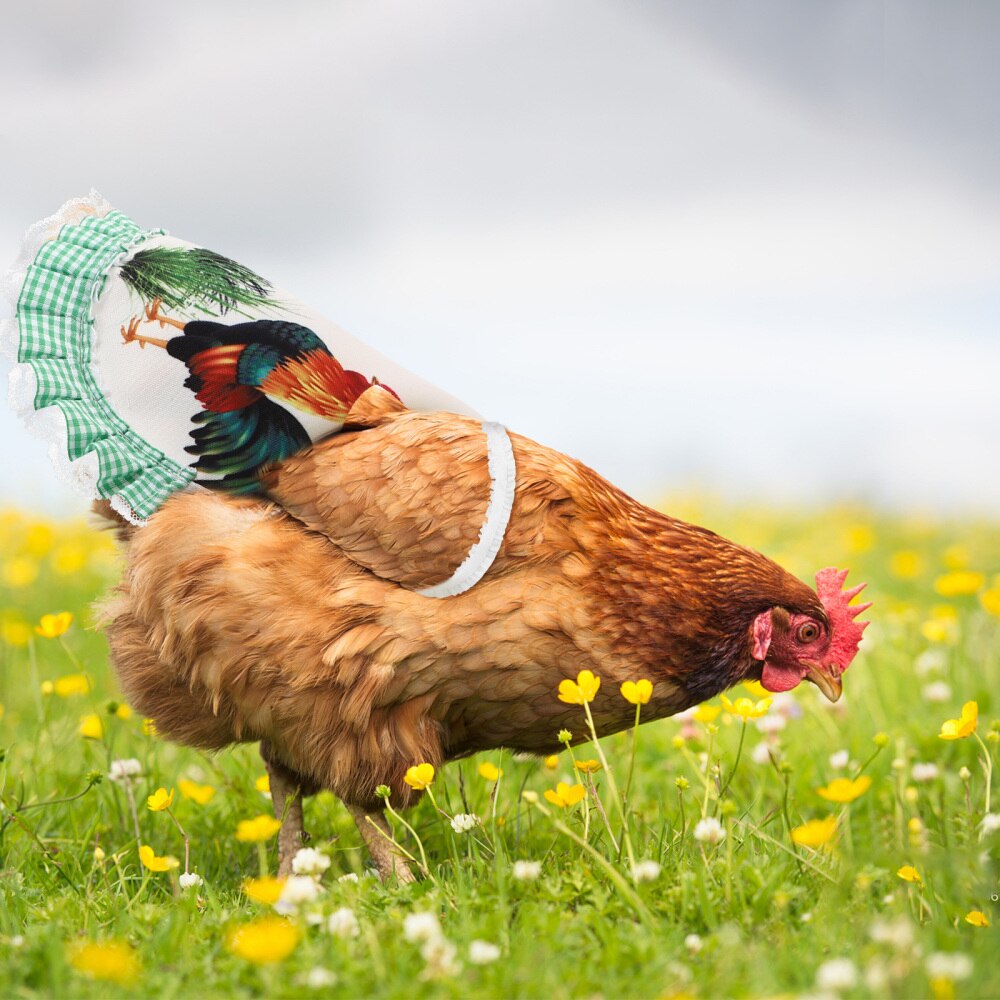 Chicken Feather Protection Back Wing Protector Cloth Hen Chicken Saddle Apron