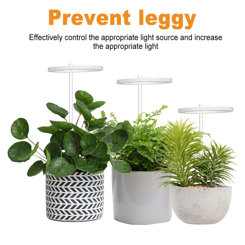 Angel Ring Led Groeien Licht Groeien Lamp Usb Phytolamp Voor Planten 5V Lamp Voor Planten Groei Verlichting Voor Indoor plant