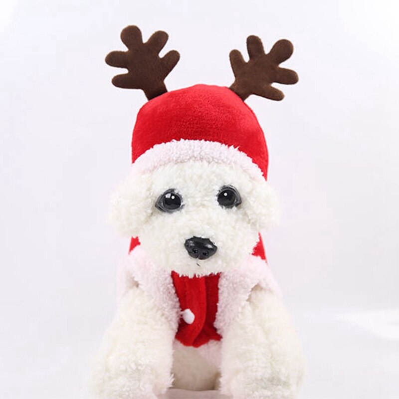 Aldi komt met matchende kersttruien voor jou en je hond