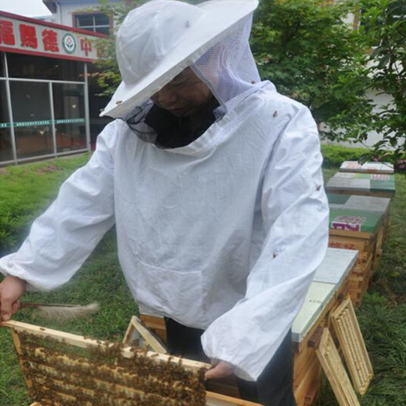 Costume d'apiculture pliable, ensemble veste et voile, combinaison de protection pour apiculture à Double fermeture éclair, vêtements anti-abeilles avec chapeau