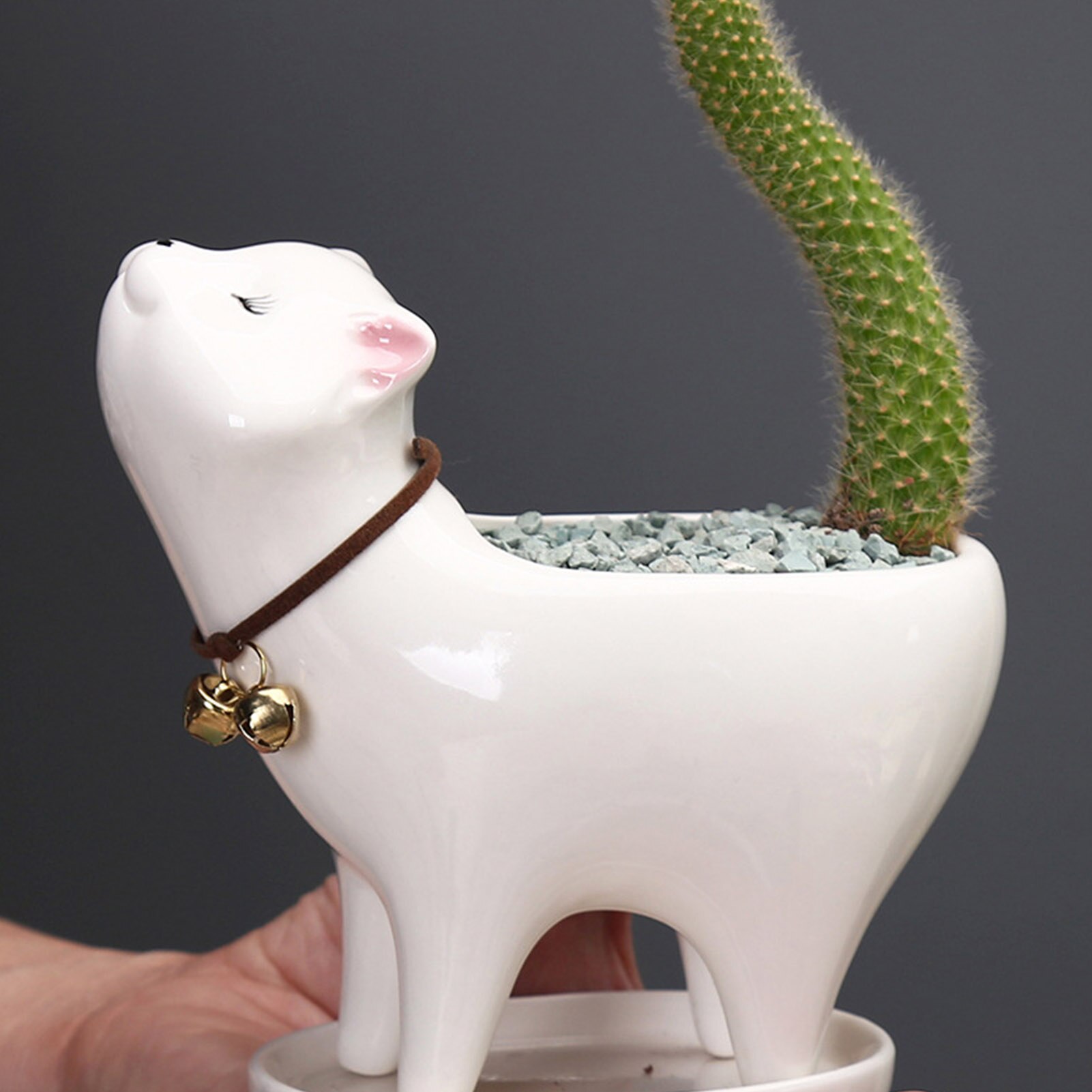 Pots de fleurs de jardin en céramique, chat mignon, plantes succulentes, conteneur de bureau, ornements d'animaux de dessin animé