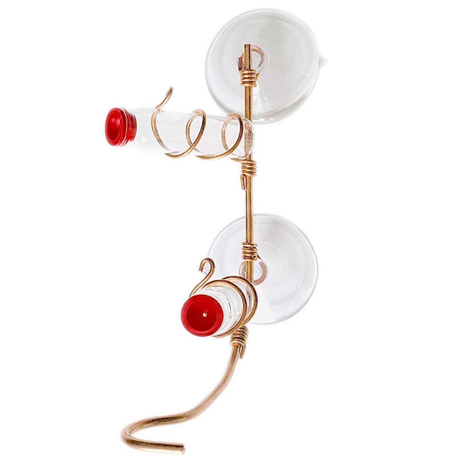 Innovative Suction-cup Hummingbird Feeder Parrot Lovebird Pigeon Hanging Viewing Feeding Tool Container Pet Supplies Accessories: A