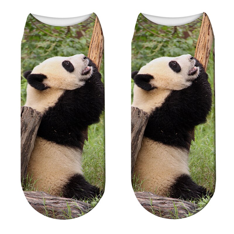 Casual, coole panda-patroon harajuku sokken voor dames, hipster, grappige katoenen korte sokken, vrouwelijke kunst, lage dunne sokken: Stijl 10