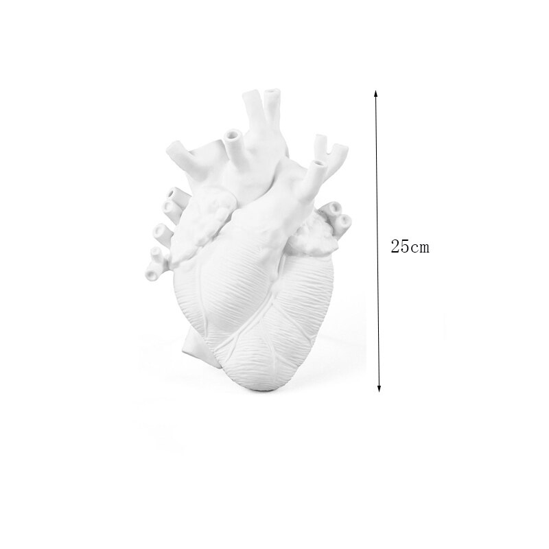 Anatomisches Herz bilden Blume Vase nordisch Stil Blume Topf Getrocknete Vasen Skulptur Schreibtisch Blumentopf für Wohnkultur Ornament: Weiß L