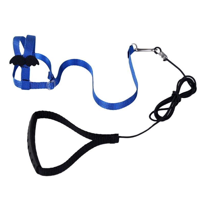 Anti-Bite Vliegende Training Touw Papegaai Vogel Huisdier Aangelijnd Kits Ultralight Harnas Leiband Voor Grasparkiet Dwergpapegaai Valkparkiet Kleine Vogels: Blauw / L