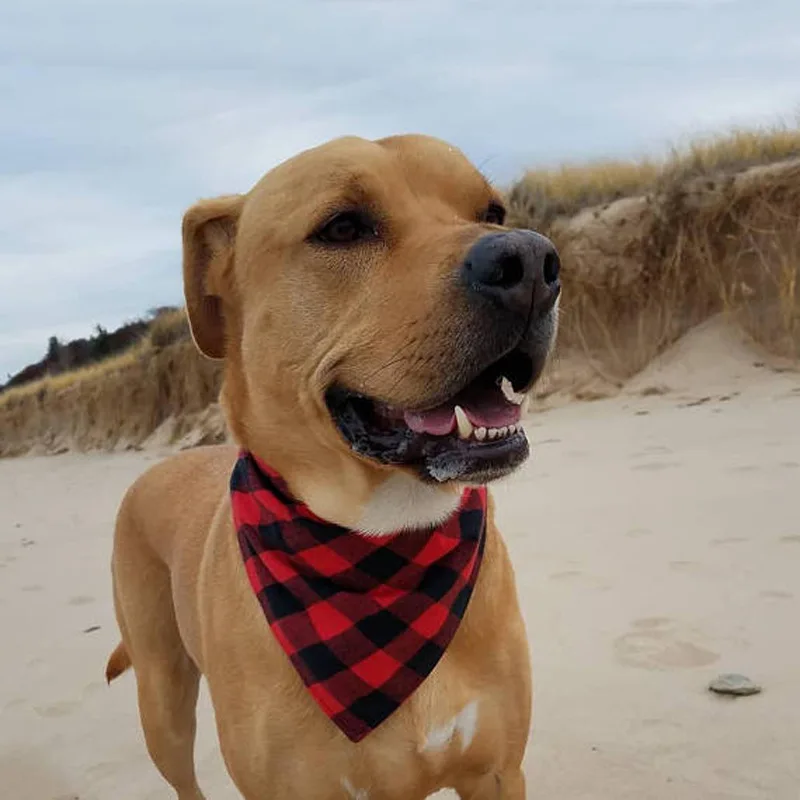 Bavoirs en coton pour grands chiens, Bandana pour chiens de taille moyenne et grande, écharpe triangulaire classique à carreaux pour animaux de compagnie, Golden Retriever, accessoires pour animaux de compagnie