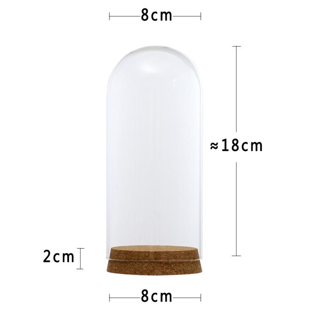 Clear Glass Display Dome Cover Cloche Bell Jar Succulent Terrariums Cork A