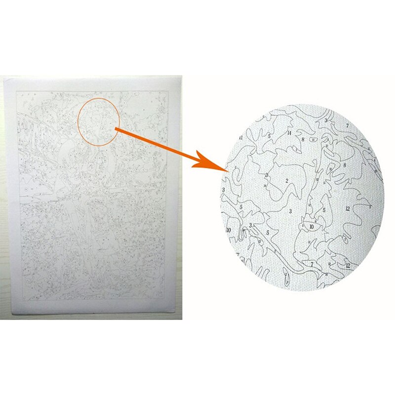 Painting by Numbers for Adults Beginner DIY Kits on Canvas without Frame 40x50cm @M23