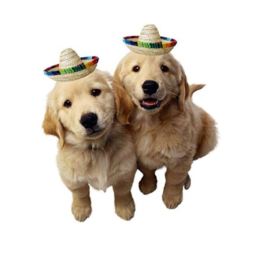 Mini chapeaux de paille naturelle 3 nuits folles, fournitures de fête de bureau , Mini chapeau mexicain, décor de fête d&#39;anniversaire de carnaval # S2R