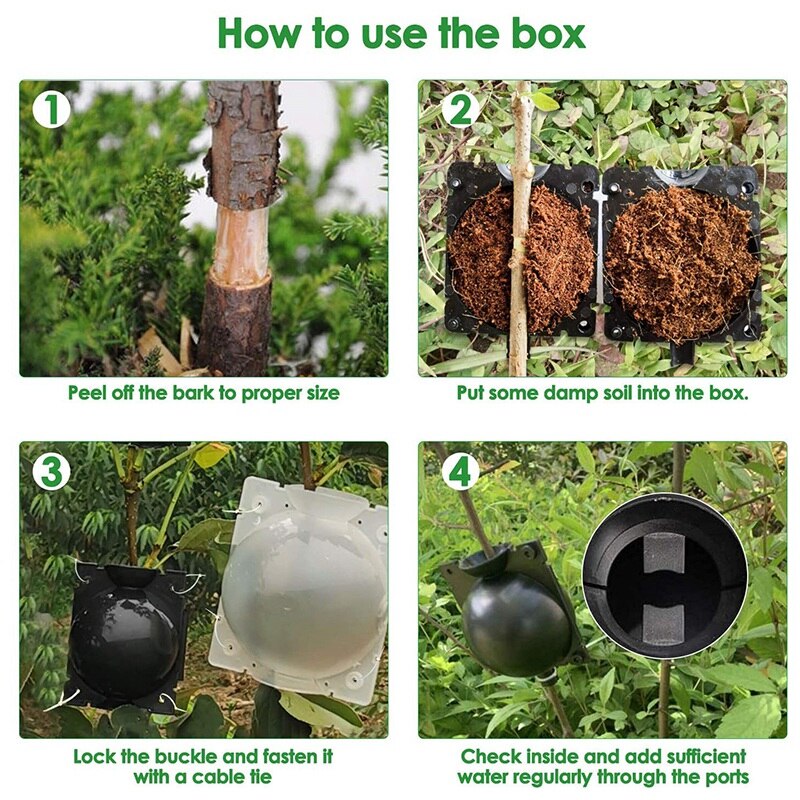 AA99 -Plant Root Growth Box High Pressure Plant Air Layered Pod Propagation Ball, Plant Grafting Box 3 Black + 3 Transparent