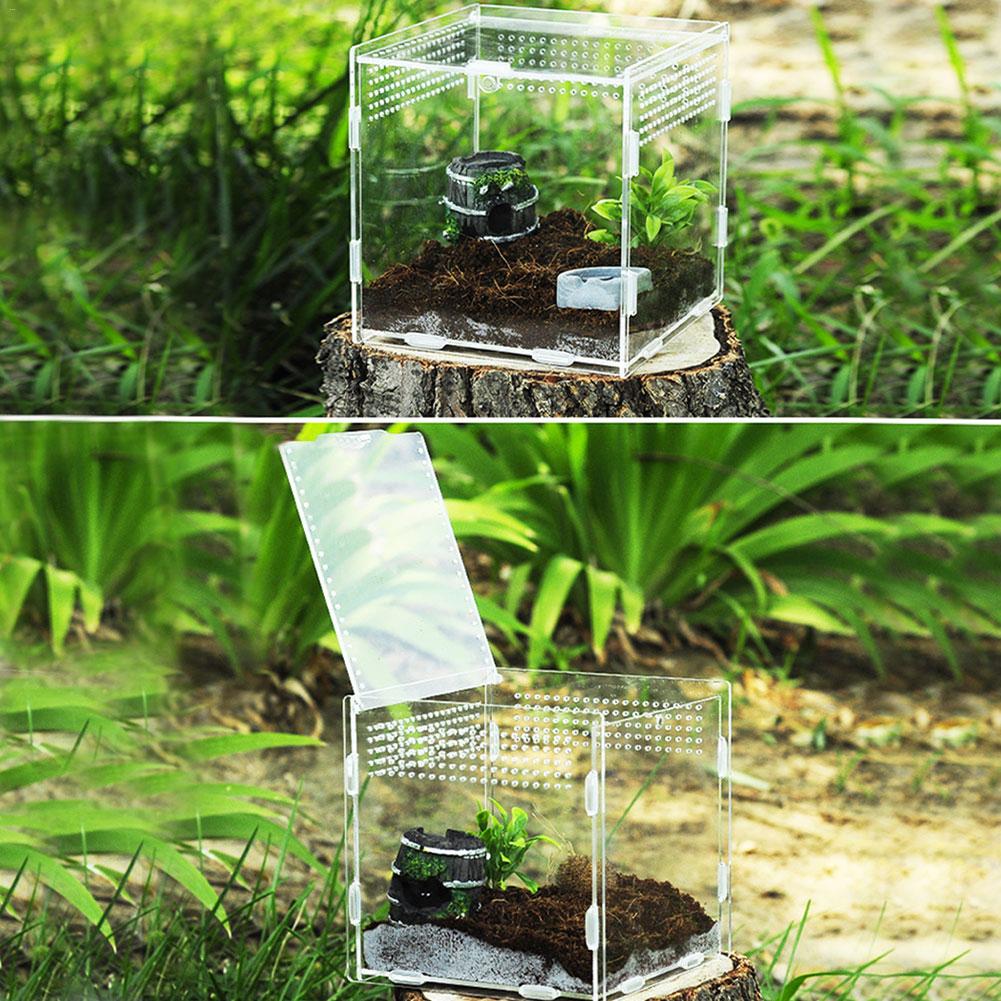 Mehrere Lüftungsschlitze Reptil Zucht Kasten Acryl transparent Reptil Panzer Insekten Spinnen Skorpione Gottesanbeterin Fütterung Kasten Terrarium Panzer