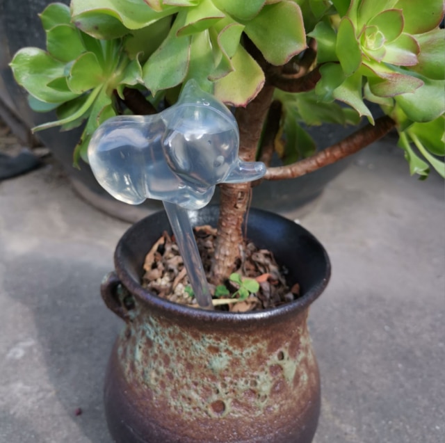 350mL Plant Life Support Drip Irrigation Home/Garden Plant Automatic Self Watering System Equipment for Plant Water: Elephant