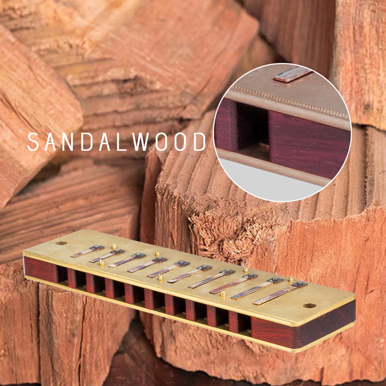 C Key Harmonica Kinderen Educatieve Tool Muziekins... Grandado