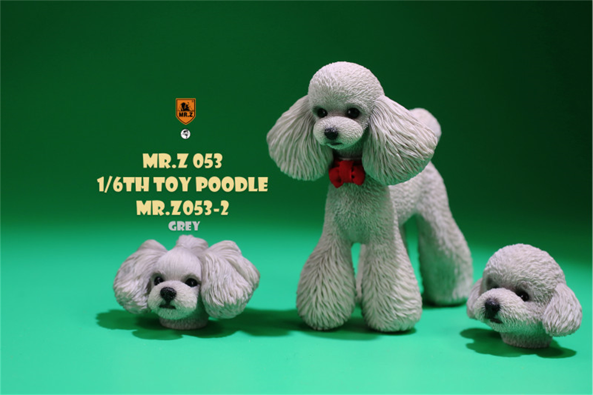 Mr.Z Studio 1:6 Schattige Speelgoed Poedel Hond Pet Figuur Canidae Diermodel Speelgoed Collector Simulatie Teddy Bureau Decoratie Mini: 002