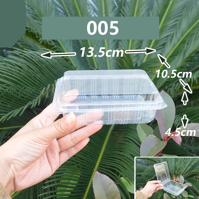 100Pack Disposable Clear Plastic Containers Transparent Box for Dessert Fruit Cake Salad Sandwiches Take Out Box: 005