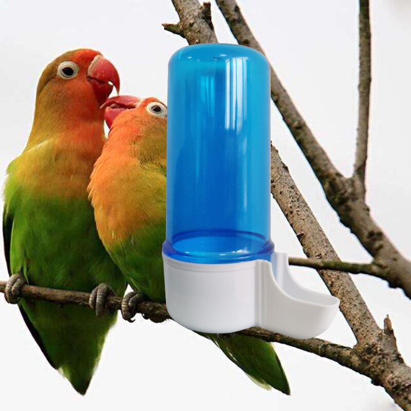 Bebedero semiautomático para loros, caja de alimentación para loros, bebedero transparente azul, bebedero para pájaros, 120ml, 1-3 piezas