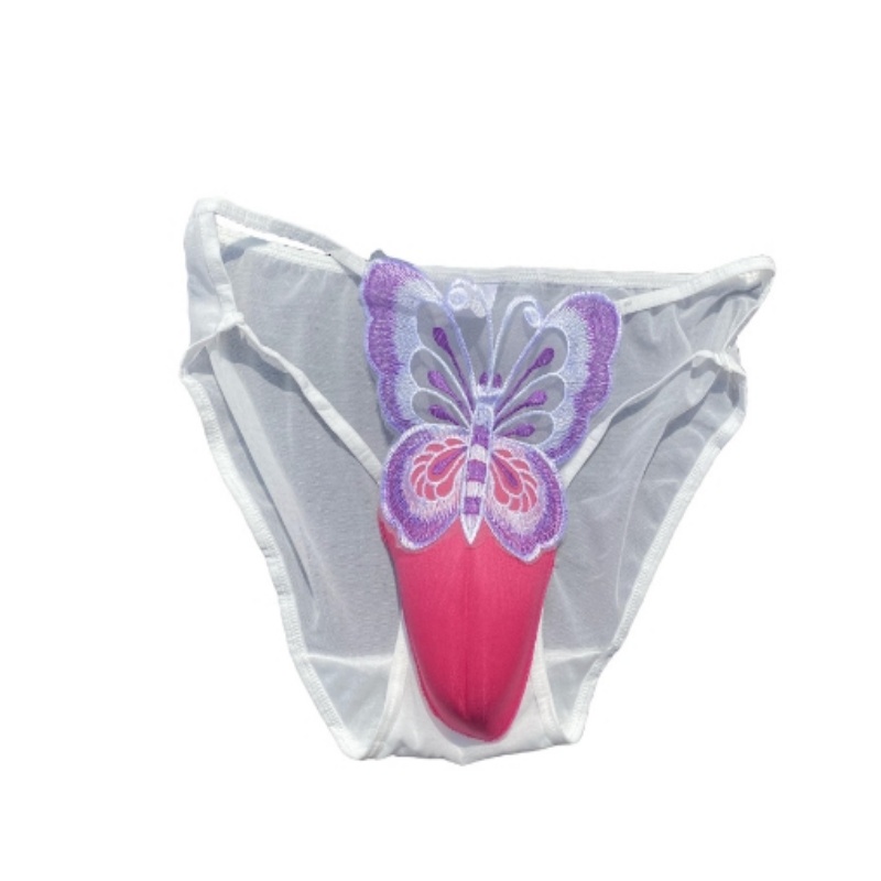 Sexy Men's Lace Underwear CD Cross-dressing Briefs Low-Waist Mesh Hollowed Transparent Butterfly Embroidery Underpants Underwear