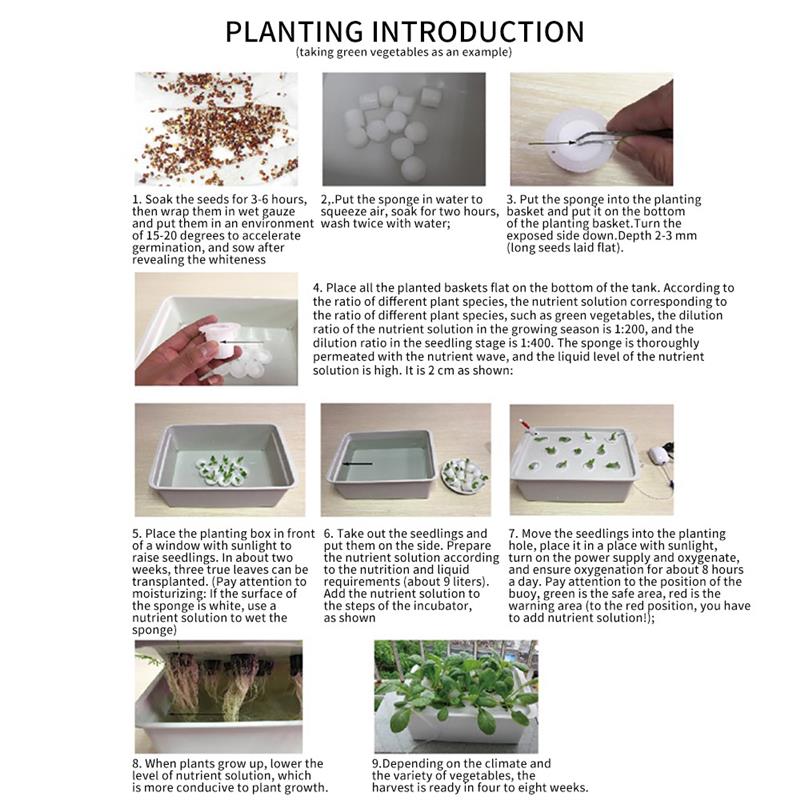 Bac de culture hydroponique pour plantes | 1 ensemble de 6 trous, Site de culture hydroponique pour plantes légumes, Kit de culture de semis de légumes, boîte de jardin d'intérieur