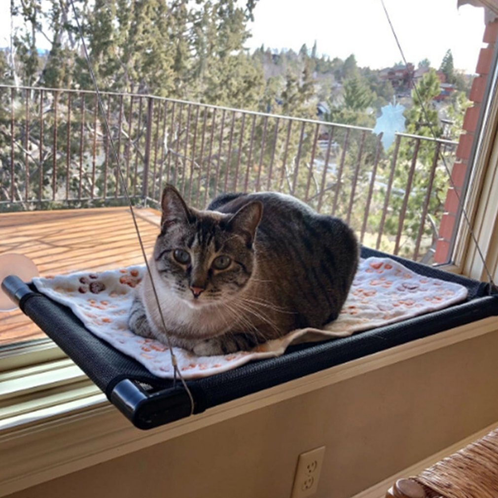 Ventouse mignon animal de compagnie suspendus lits portant chat ensoleillé siège fenêtre montage pour animaux de compagnie chat hamac confortable chat lit pour animaux de compagnie