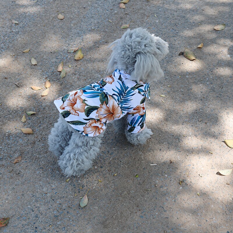 Ropa para perros, camisa hawaiana con estampado para perros pequeños y medianos, con estilo, S-XXL sencilla