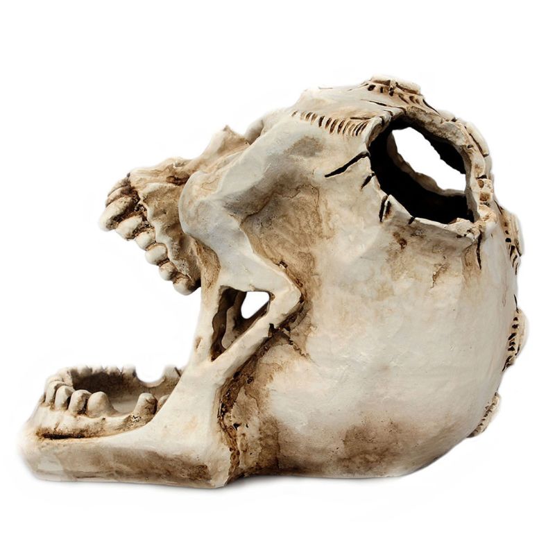 Schedel Hoofd Ornament Skelet Pen Houder Desktop Potlood Organizer Make Storage